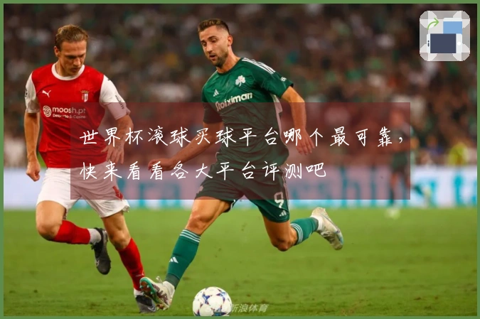 世界杯滚球买球平台哪个最可靠，快来看看各大平台评测吧