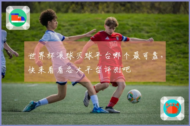 世界杯滚球买球平台哪个最可靠，快来看看各大平台评测吧